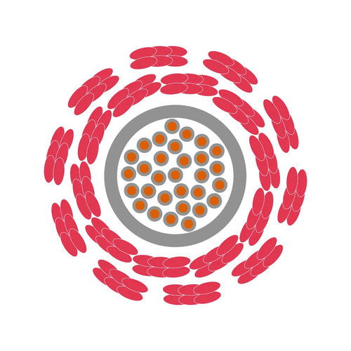 Cable OLFLEX HEAT SC 1565